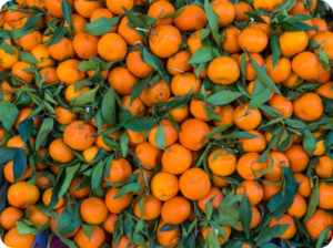 las mejores naranjas online